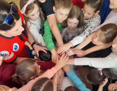 KOALA PEPA POTŘEBUJE ZACHRÁNIT