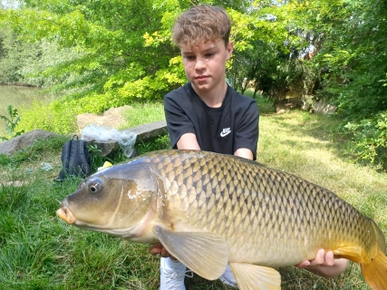 Žijí u nás velryby?