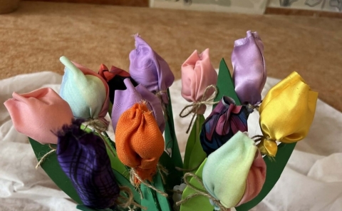 Tulipán - nejen symbol přicházejícího jara