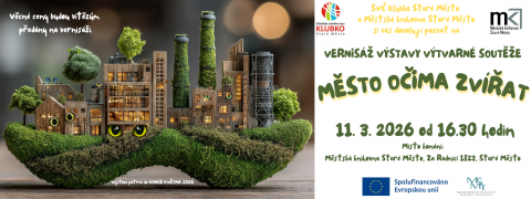 Město očima zvířat